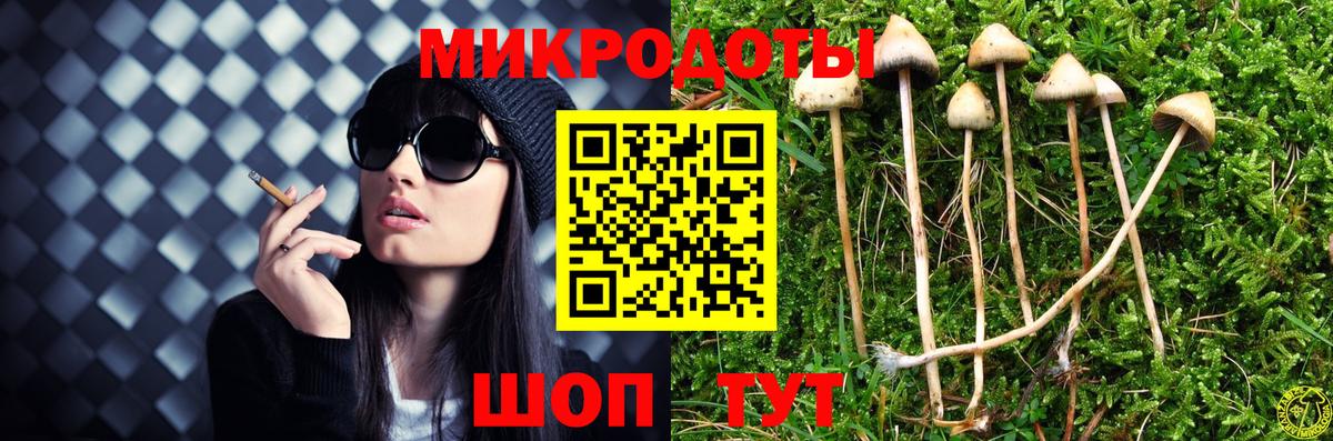 Галлюциногенные грибы Magic Shrooms Петрозаводск