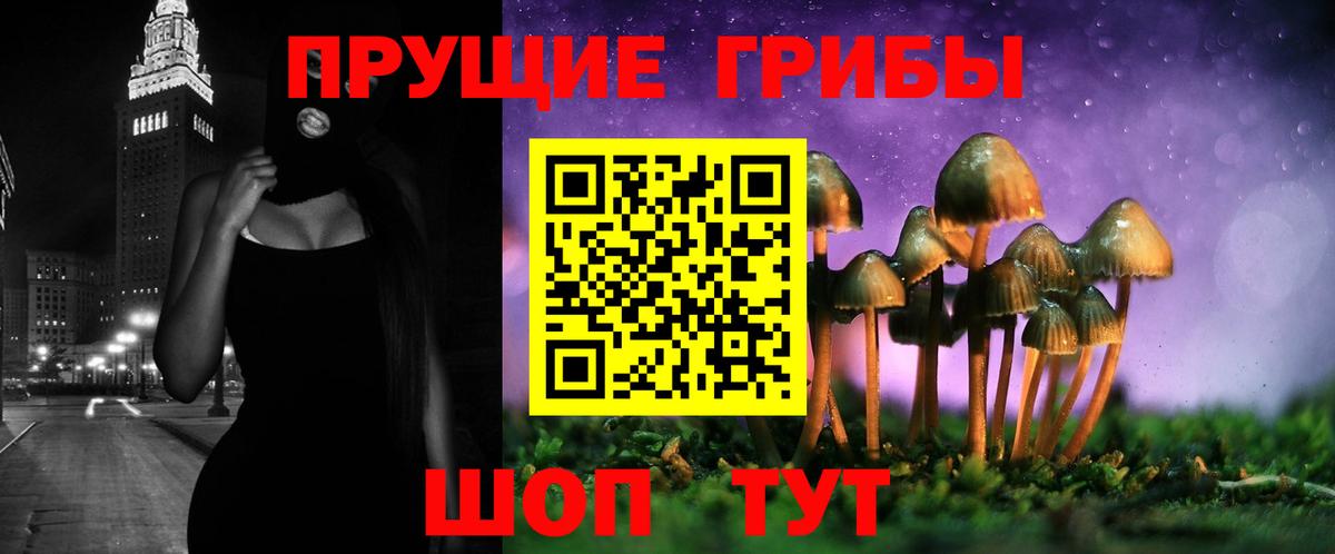 Галлюциногенные грибы мицелий  Вход с VPN  Петрозаводск 